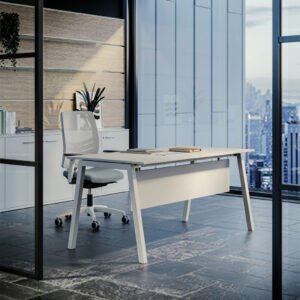 Modern Office Work Desk with Mobile Drawer Unit