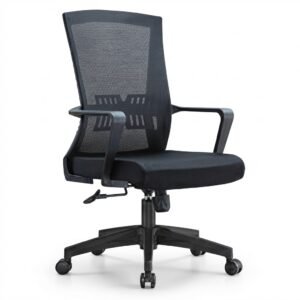 Modern Ergonomic Mesh Task Chair with Lumbar Support