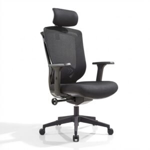 Pro-Ergo High-Back Mesh Chair